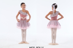 MOD.-POLLY