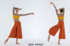 MOD.-INESSA