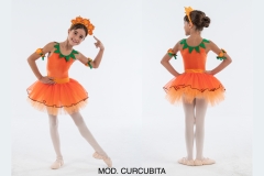 MOD.-CURCUBITA