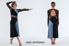 MOD.-ARTEMISIA