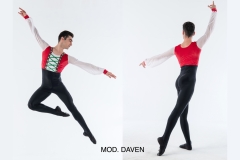 MOD.-DAVEN