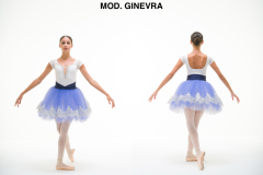 MOD.-GINEVRA