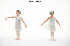 MOD.-IDEA