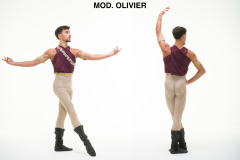 MOD.-OLIVIER
