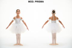 MOD.-PRISMA