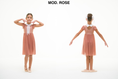MOD.-ROSE