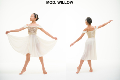 MOD.-WILLOW