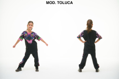 MOD.-TOLUCA
