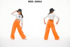 MOD.-GINKA