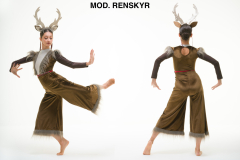 MOD.-RENSKYR