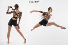 accademici-2016BIRK