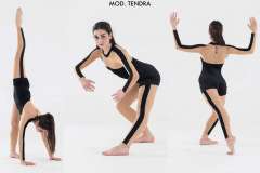 TENDRA