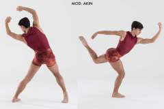 accademici-2017AKIN