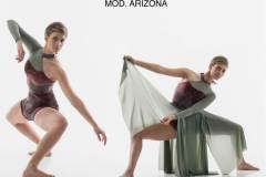 ARIZONA