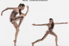 TENDRA_ENERGY