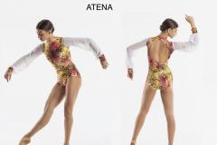 ATENA