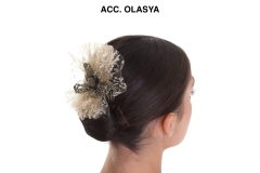 ACC.-OLASYA