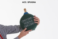 ACC.-SPUGNA