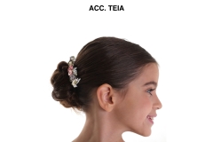 ACC.-TEIA