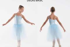 DEGAS-BASIC