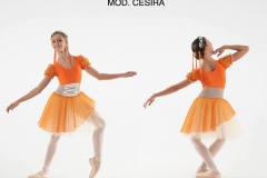 CESIRA