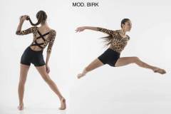 CONTEMPORANEO-2016-BIRK
