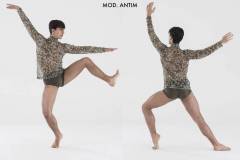 CONTEMPORANEO-2017-ANTIM