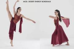 CONTEMPORANEO-2017-DESERT-ENERGY-BORDEAUX