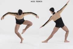 CONTEMPORANEO-2017-TEDROS