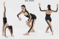 CONTEMPORANEO-2017-TENDRA
