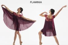 FLAMINIA