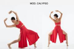 CALYPSO