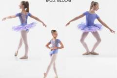 BLOOM