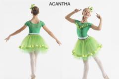 ACANTHA