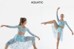AQUATIC