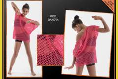 MODERN-2016-101_DAKOTA-big