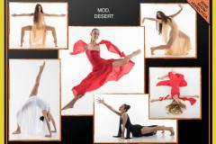 MODERN-2016-102_DESERT-2-big