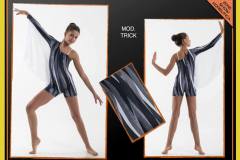 MODERN-2016-63_TRICK-big