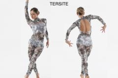 TERSITE