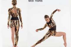 TIGRIS