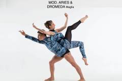 ARIES-DROMEDA-maglia