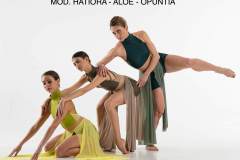 HATIORA-ALOE-OPUNTIA