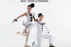 TIERRì-PIERRINE
