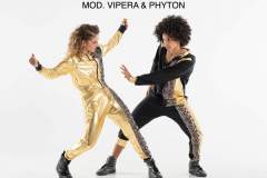 VIPERA-PHYTON
