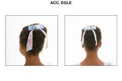 ACC.-EGLE