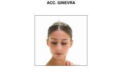 ACC.-GINEVRA