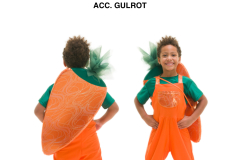 ACC.-GULROT