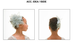 ACC.-IDEA-_-ISIDE