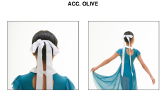 ACC.-OLIVE