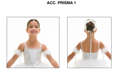 ACC.-PRISMA-1